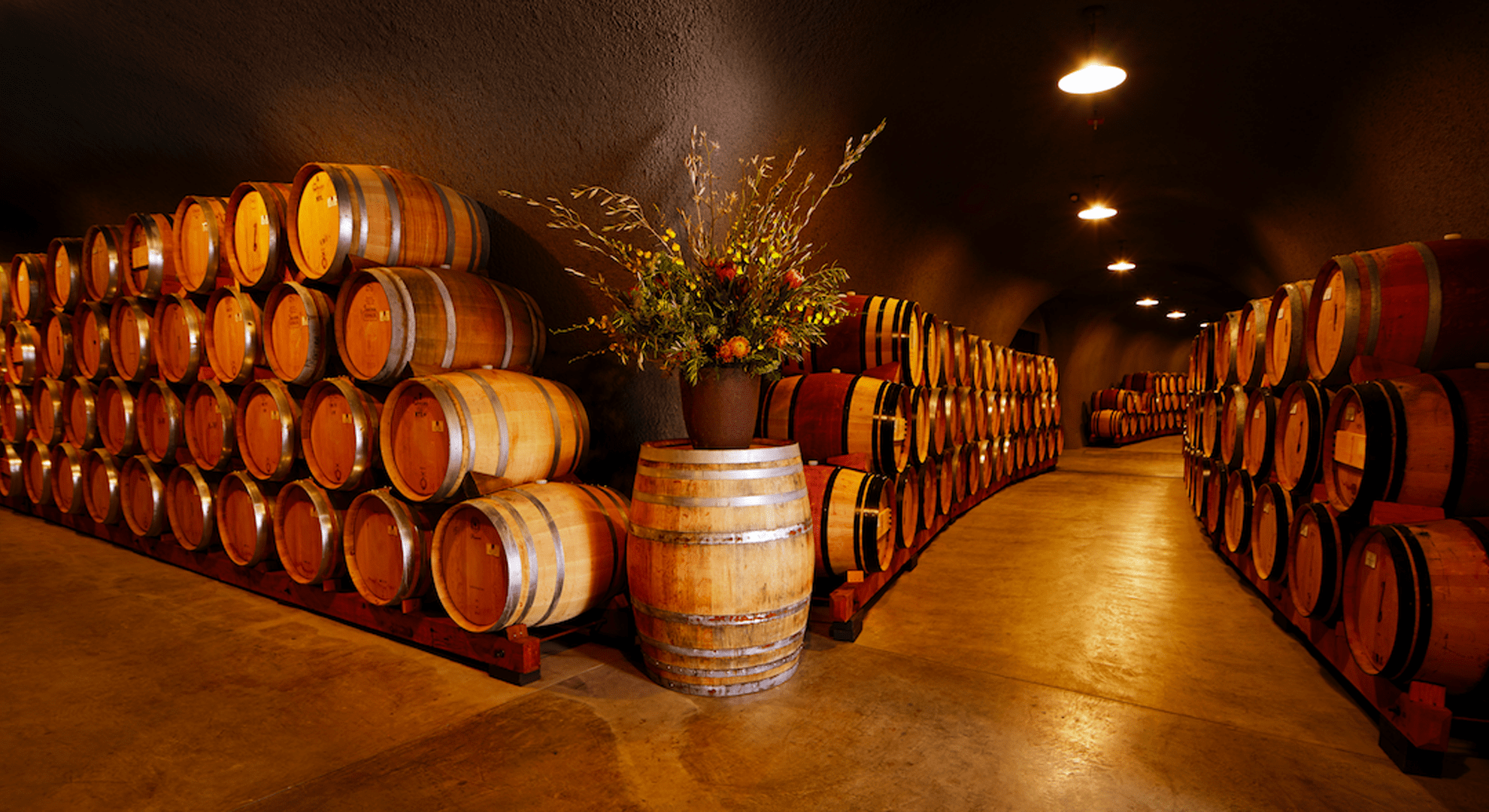 Wine barrels aging in an elegant underground cellar, with warm lighting and floral decor, highlighting traditional winemaking at a premium winery.